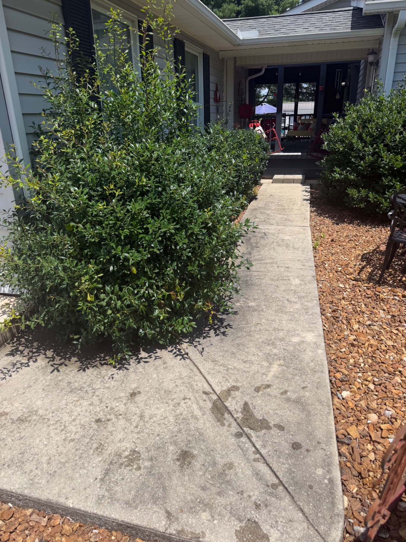 Walkway before pressure washing with darker buildup on the concrete